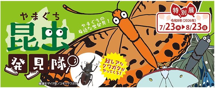 �摜�F��܂�������������