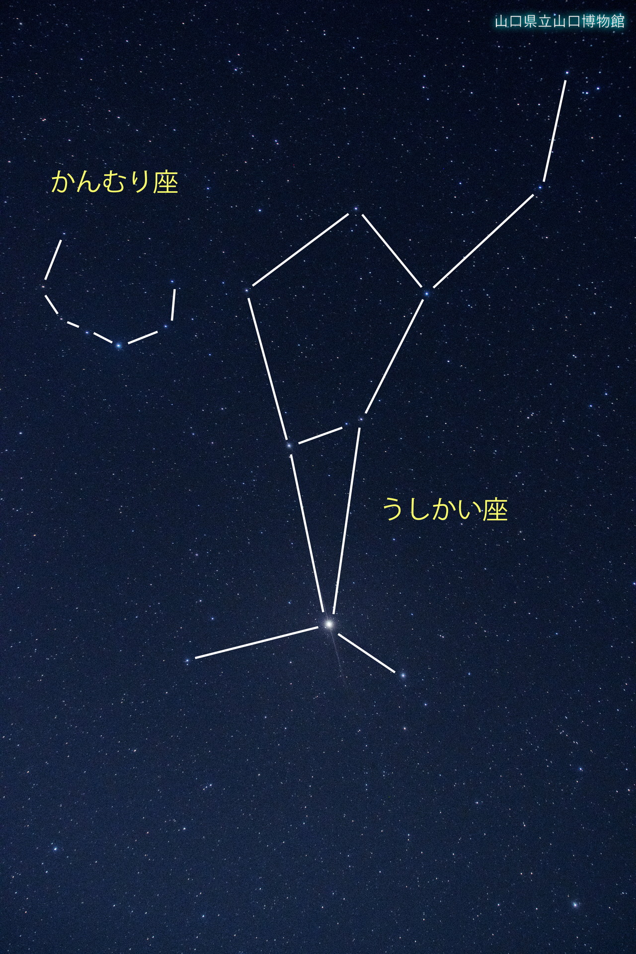 画像：山口県から見える星座（春）