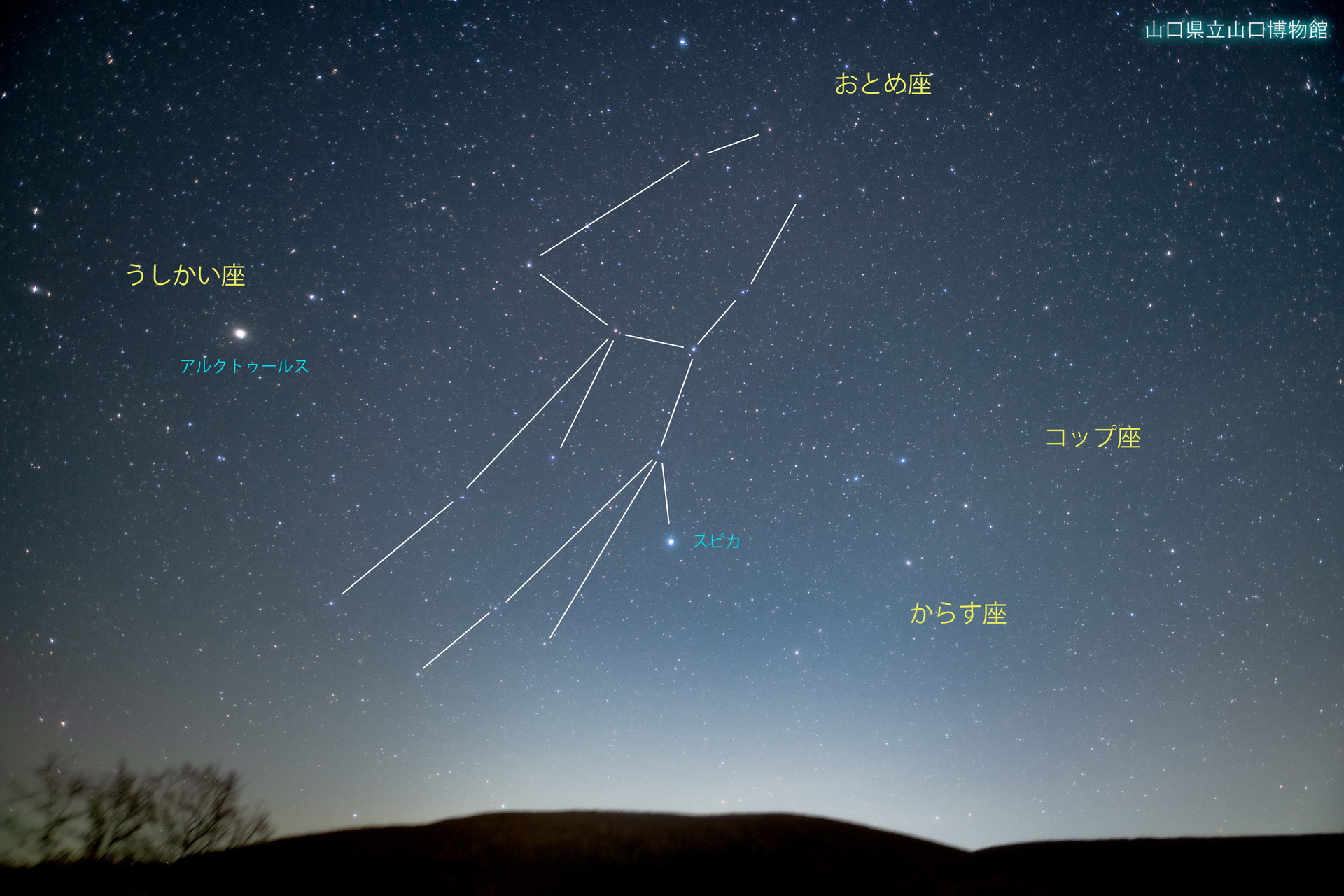 画像：山口県から見える星座（春）