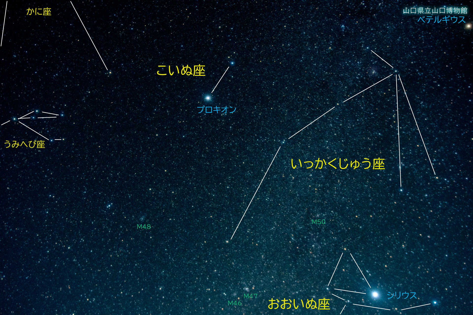 画像：山口県から見える星座（冬）