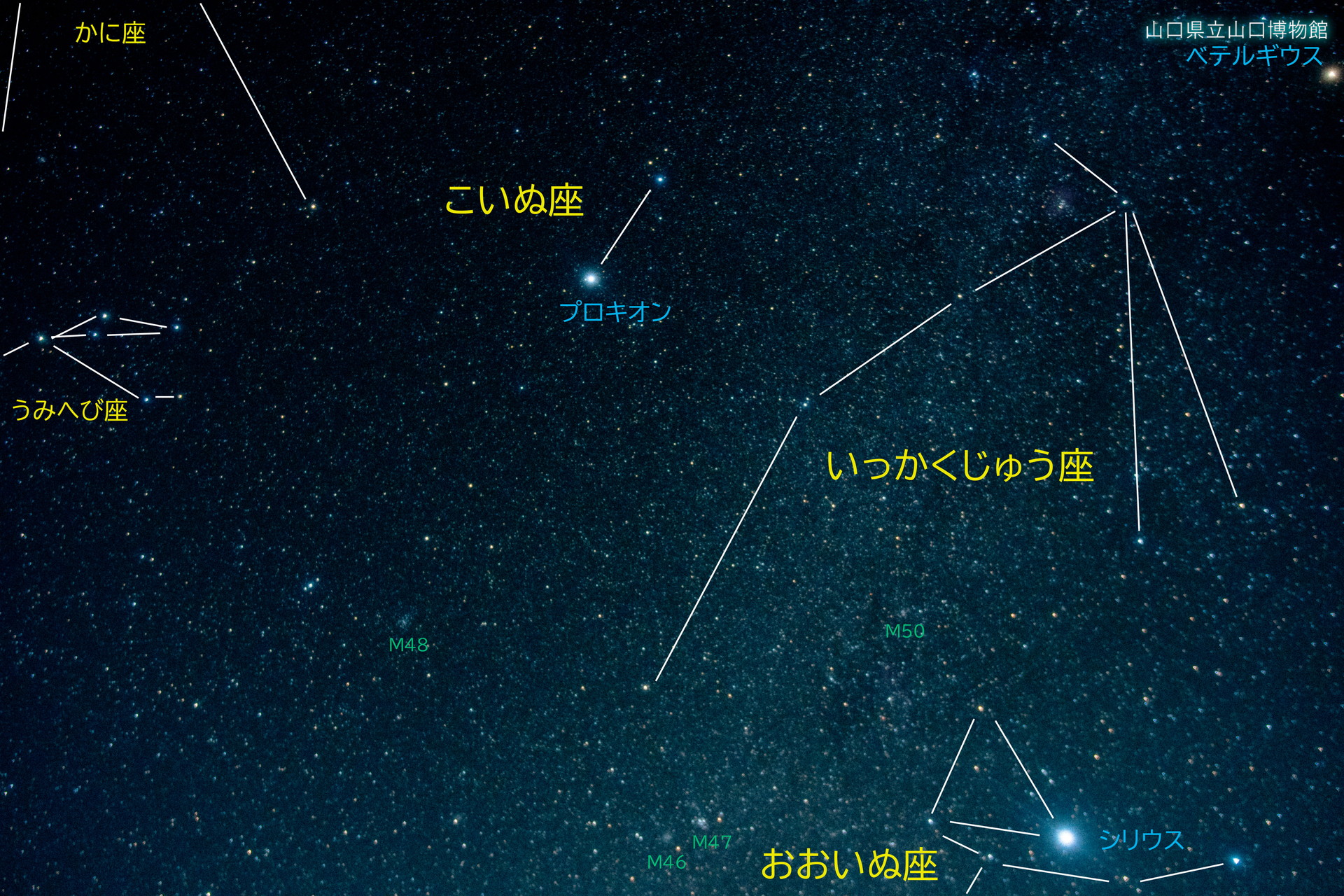 画像：山口県から見える星座（冬）