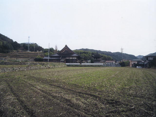 画像：