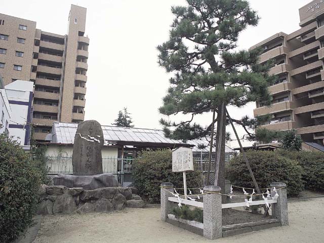 画像：