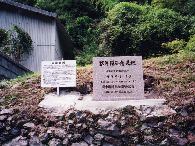 画像：