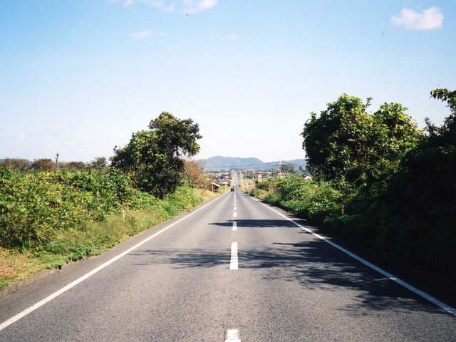 画像：
