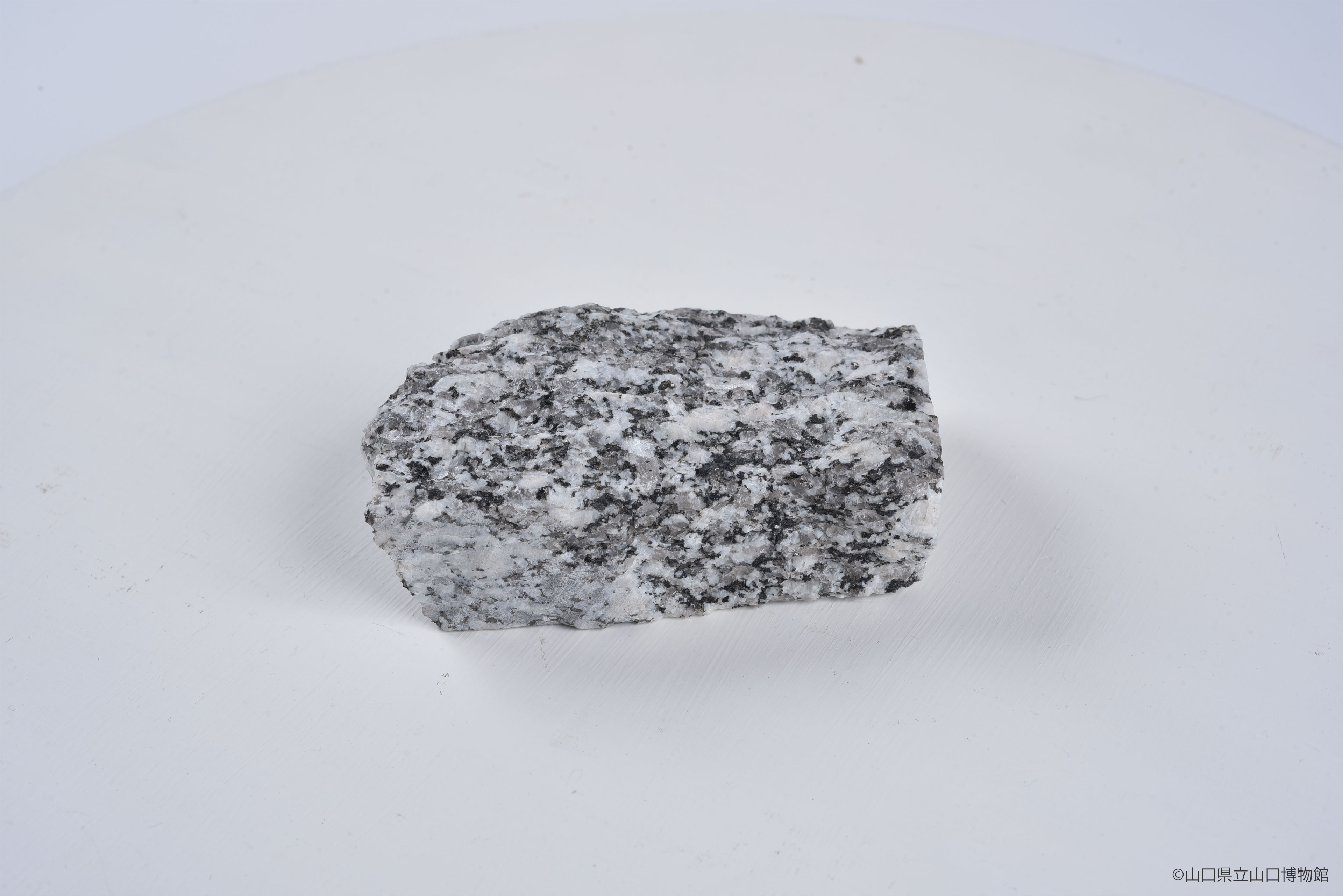 画像：黒雲母花崗岩