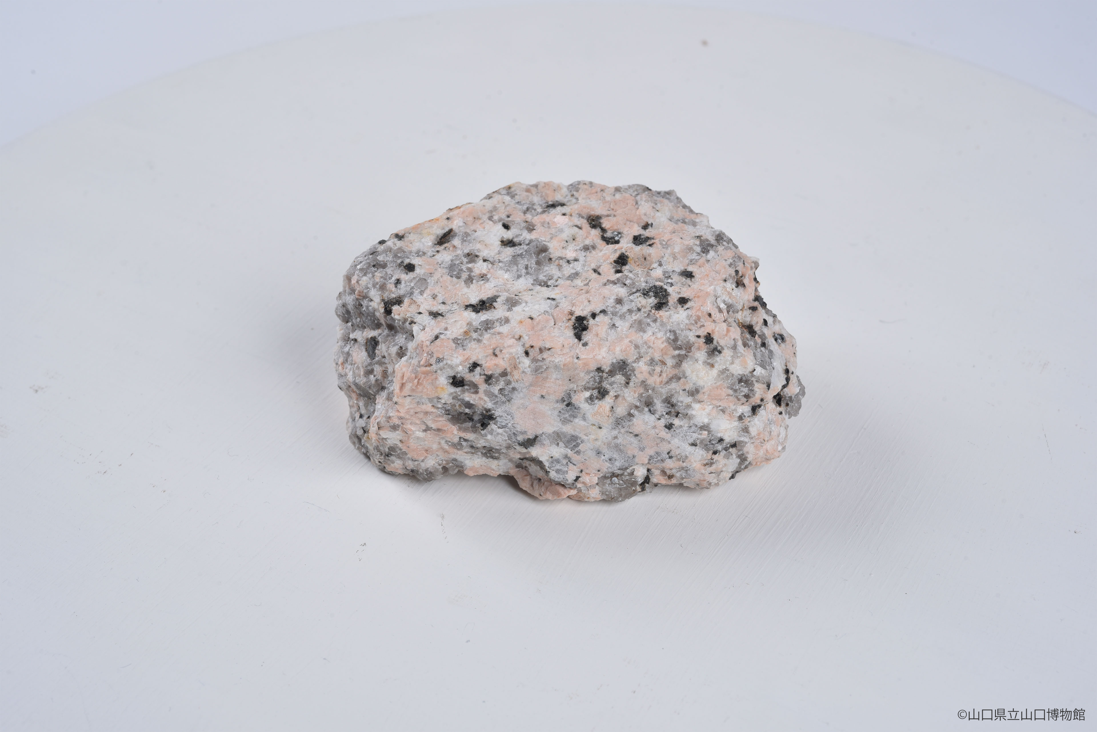 画像：黒雲母花崗岩