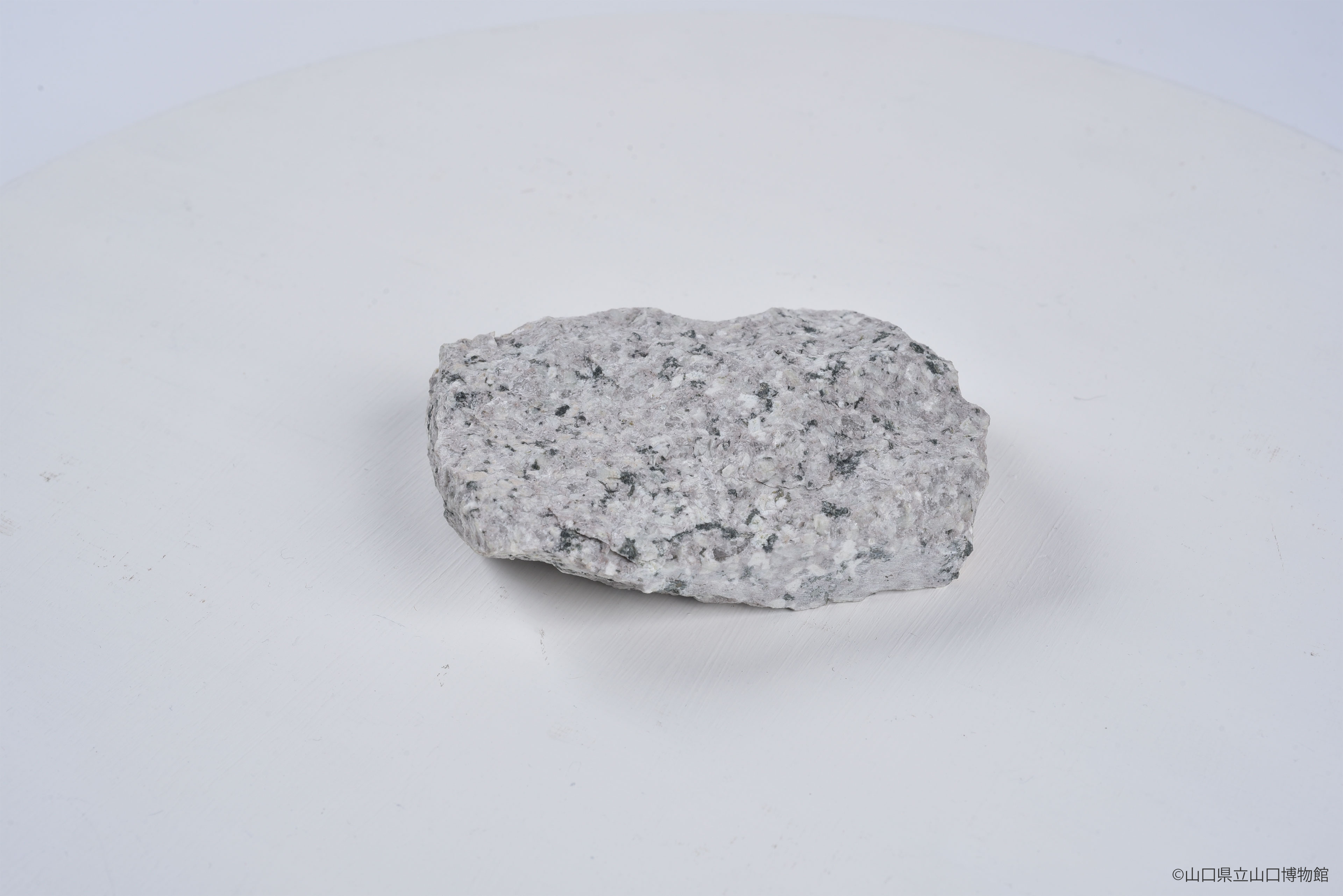 画像：黒雲母花崗岩