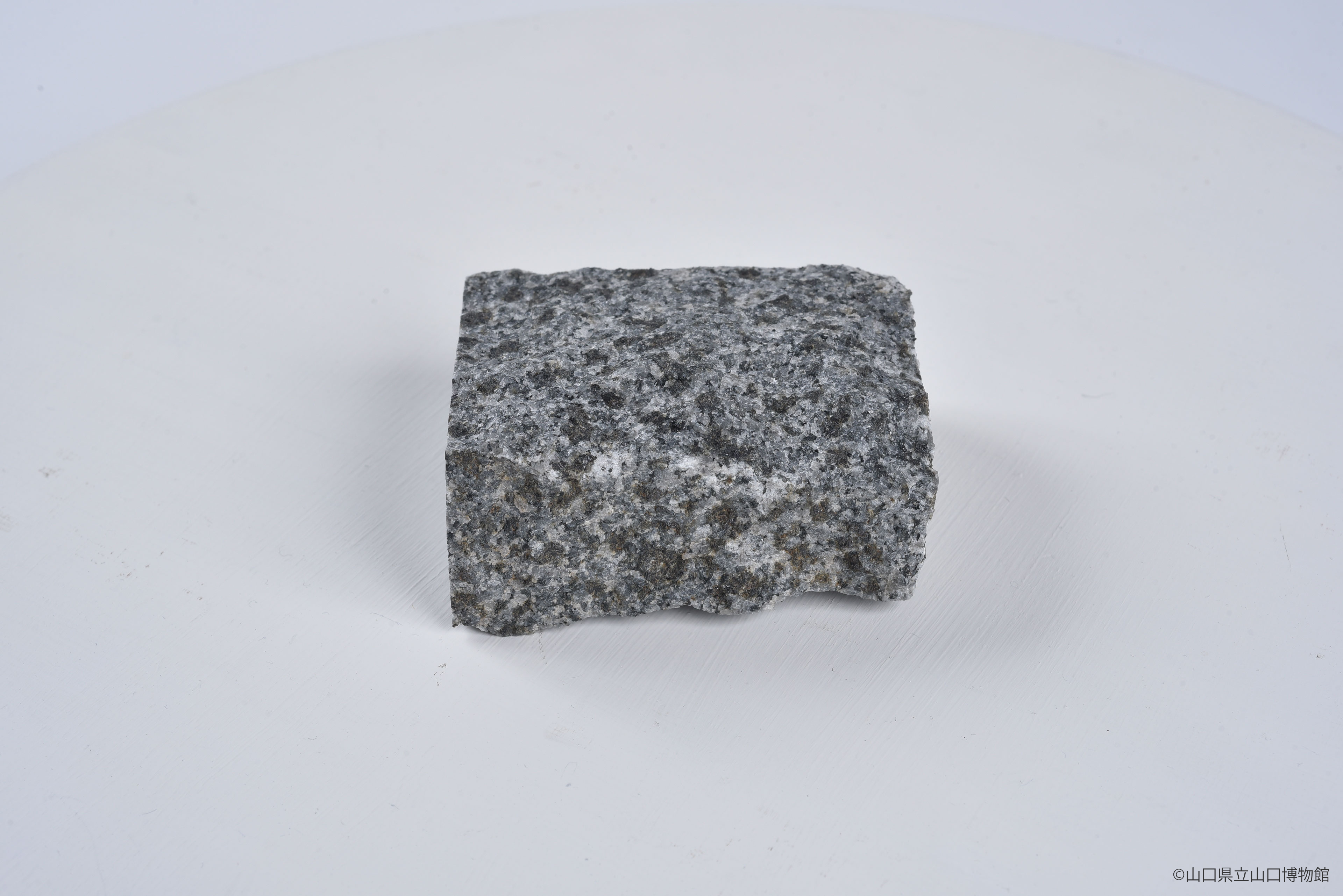 画像：斑れい岩