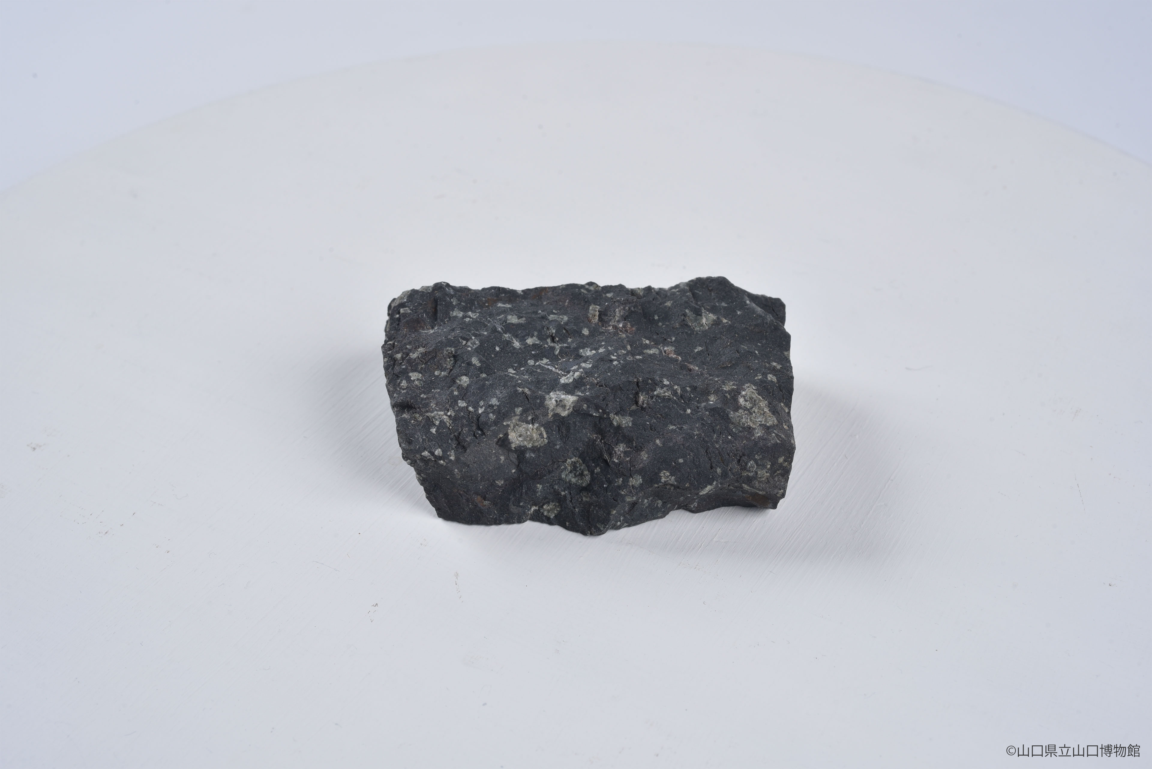 画像：斑状玄武岩