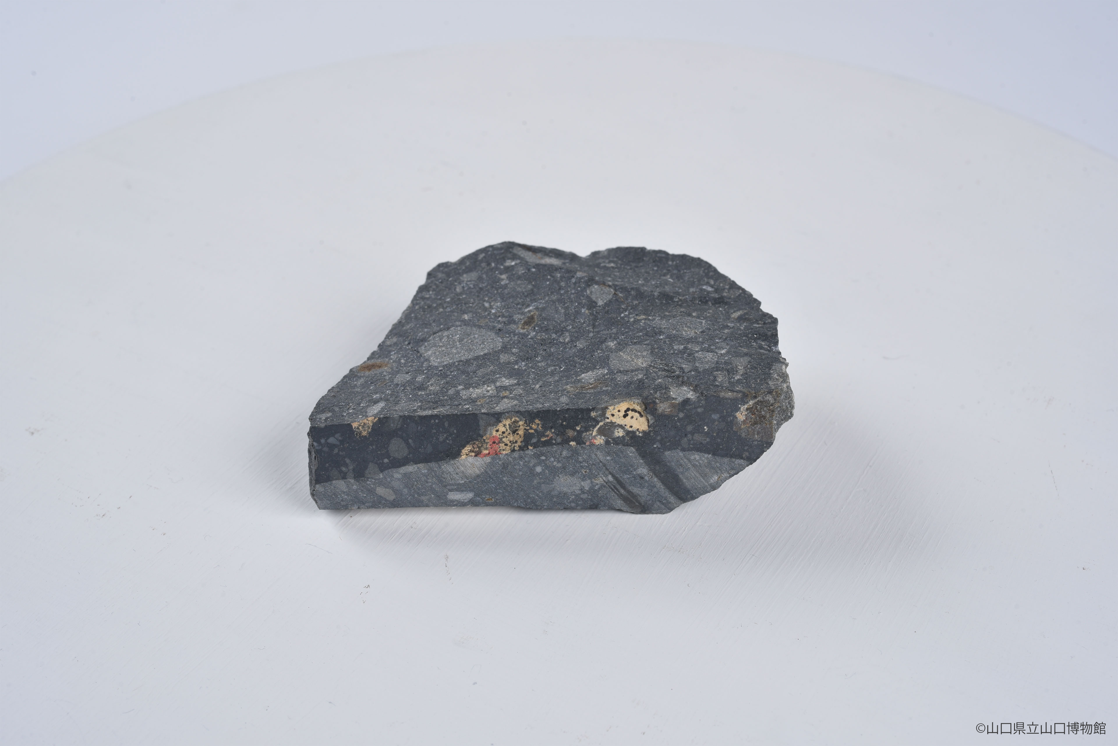 画像：デイサイト質火山礫凝灰岩