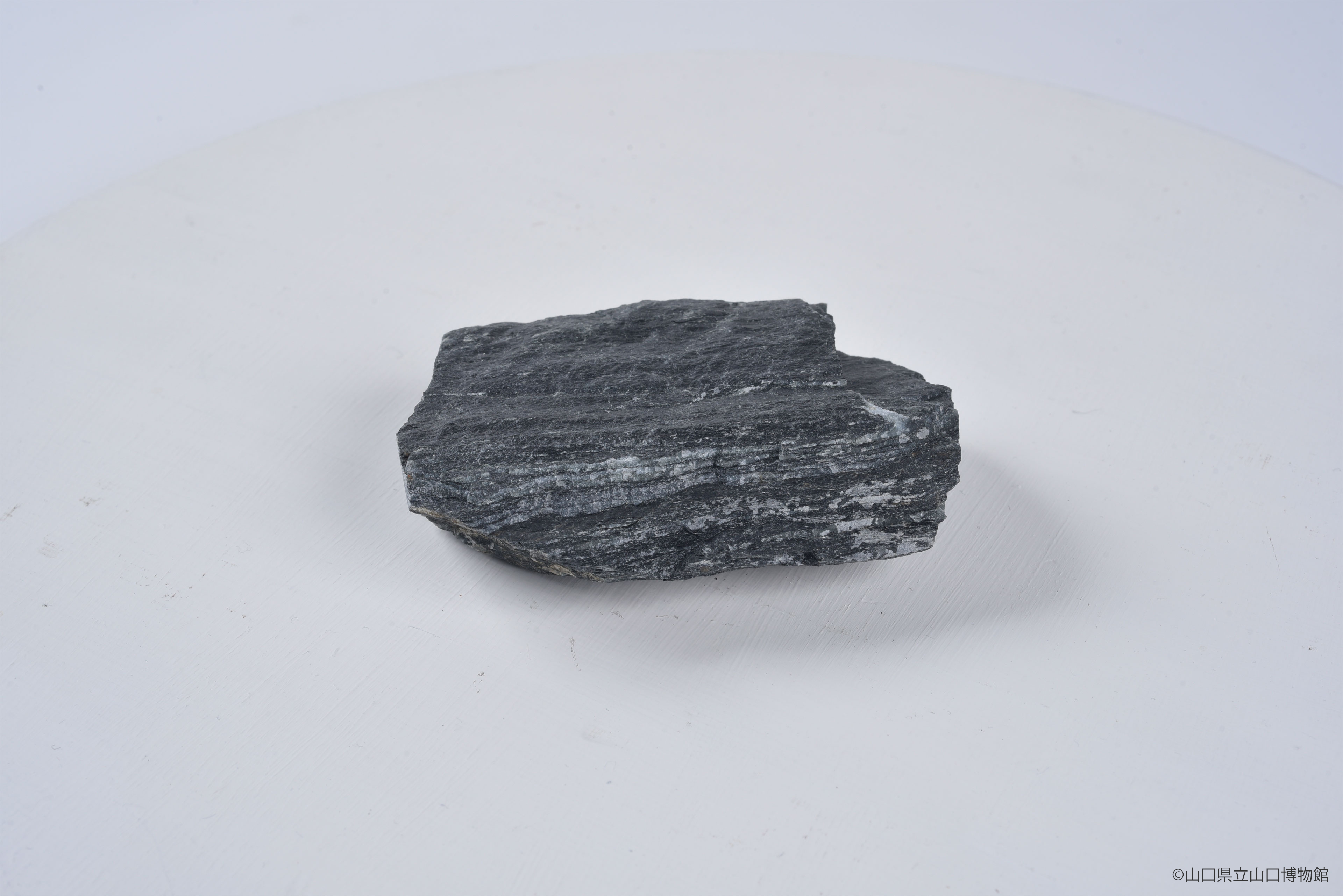 画像：泥質片岩