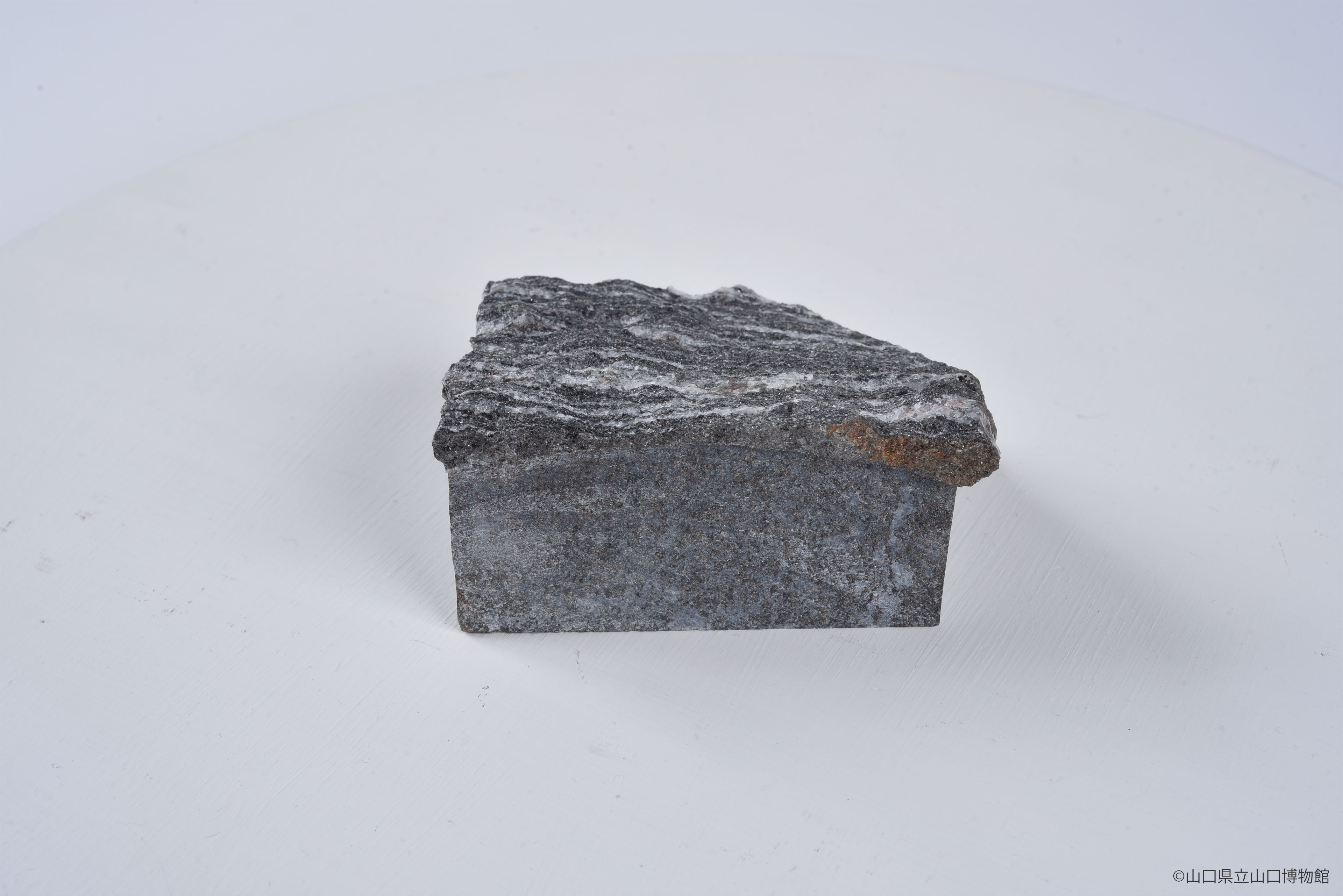 画像：泥質片麻岩