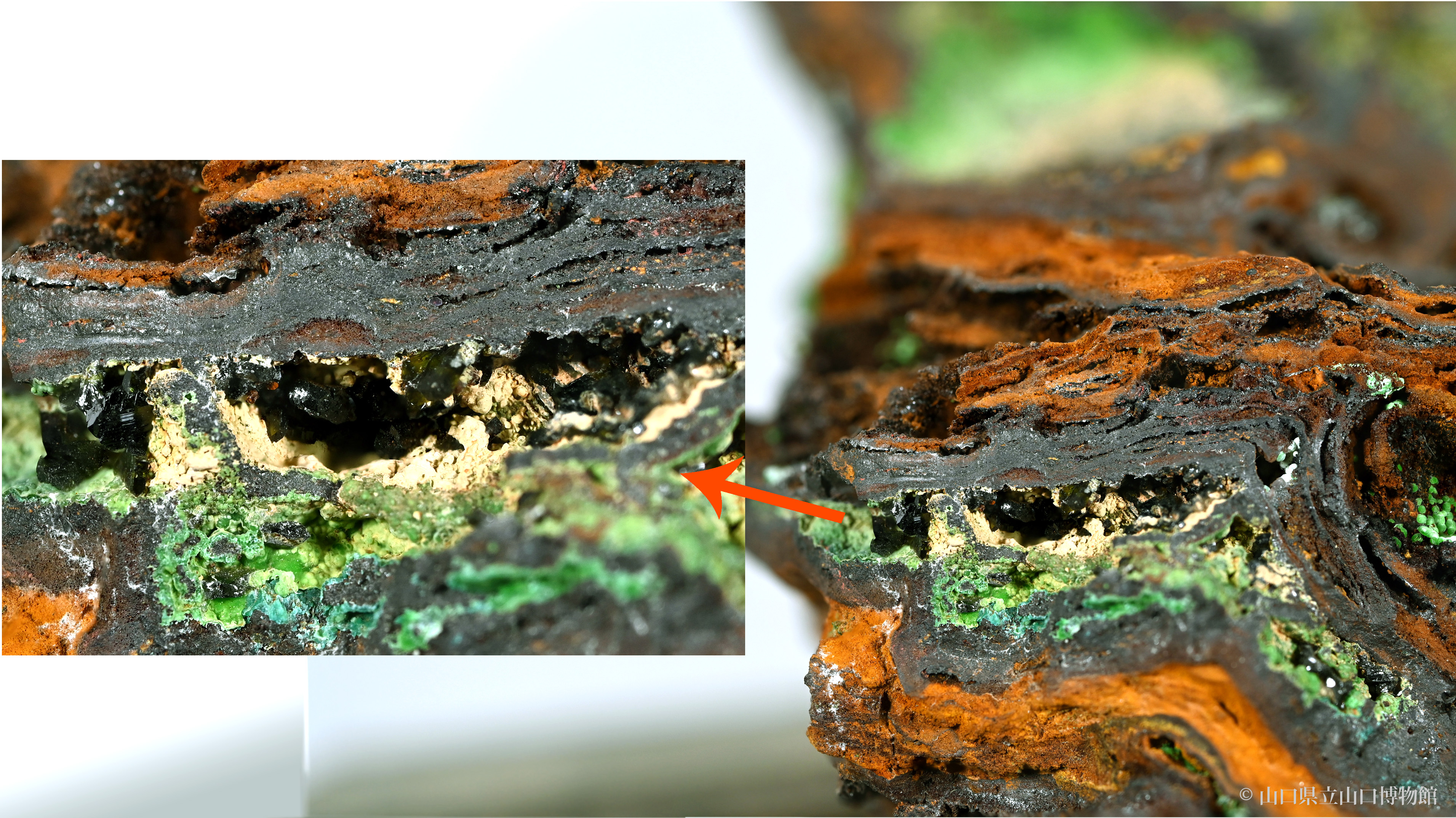 画像:オリーブ銅鉱