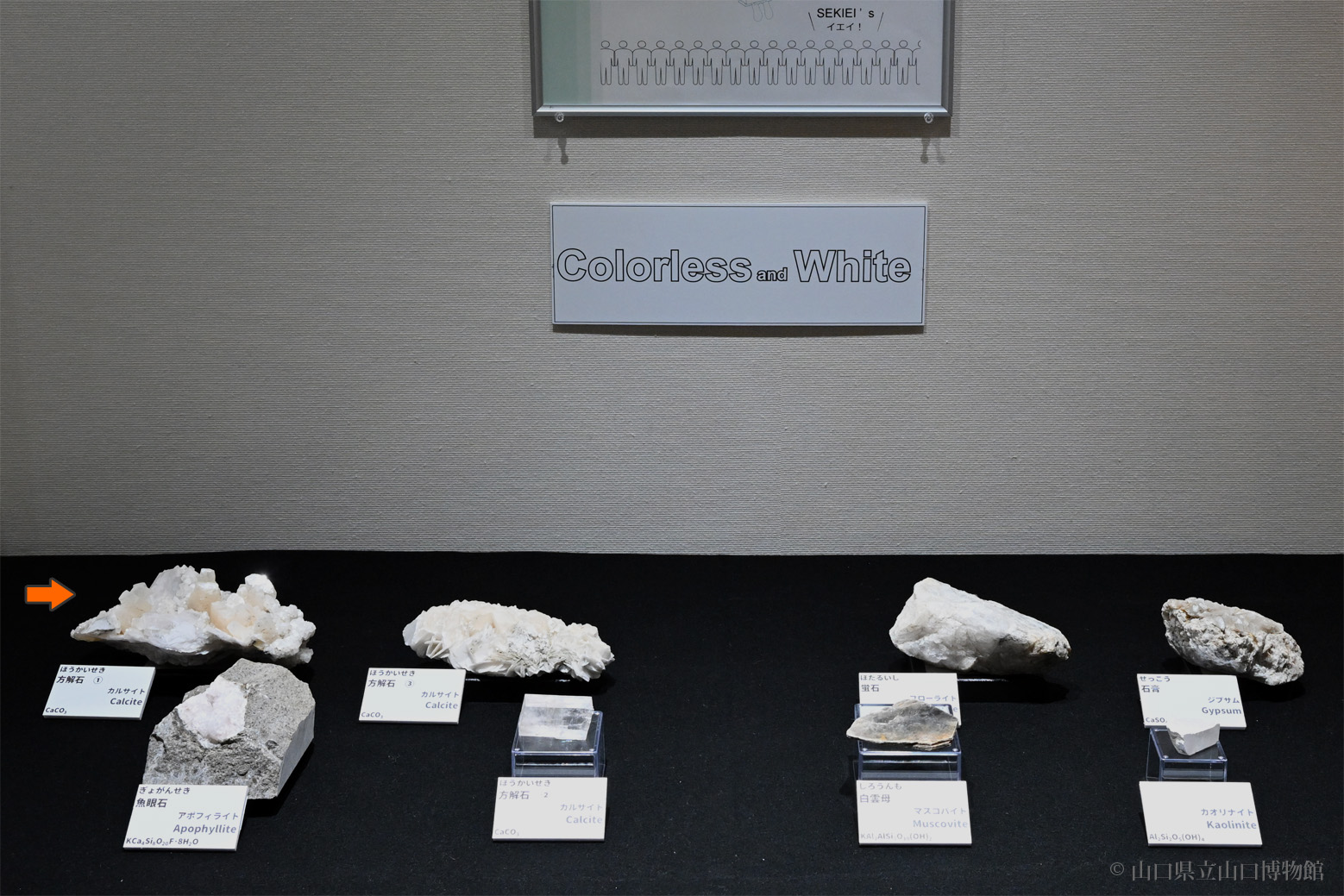 方解石｜地学｜バーチャル収蔵庫