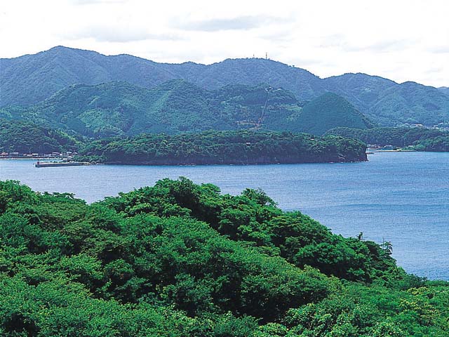 画像：阿武火山群  中ノ台
