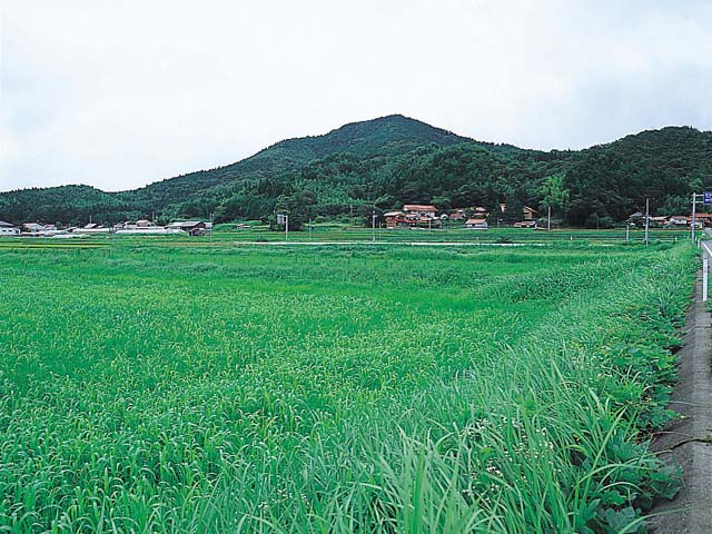 画像：阿武火山群  伊良尾山 