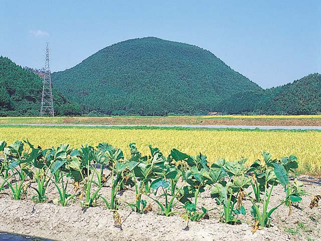 画像：阿武火山群  鍋山