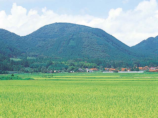画像：青野火山群  三原山