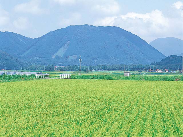 画像：青野火山群  野坂山