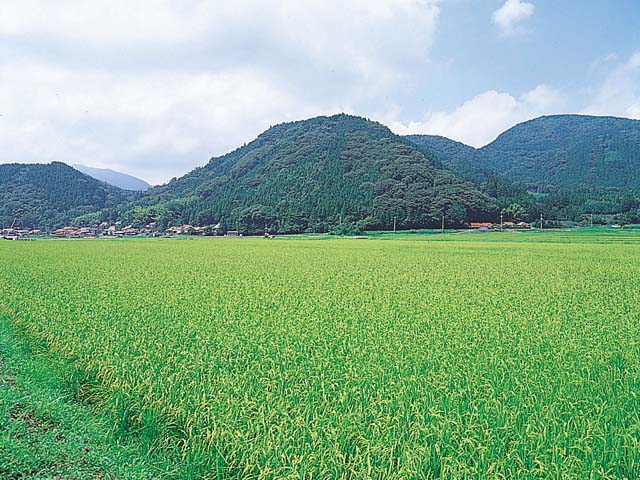 画像：青野火山群  観音山