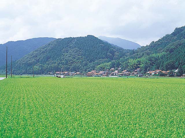 画像：青野火山群  船平山