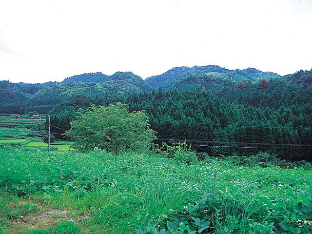 画像：青野火山群  白井岳