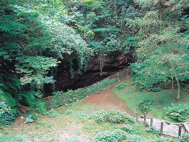 画像：笠山の火口