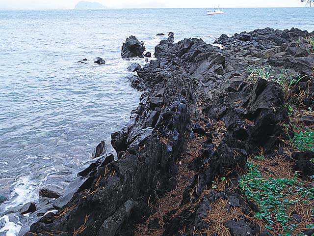 画像：溶岩堤防