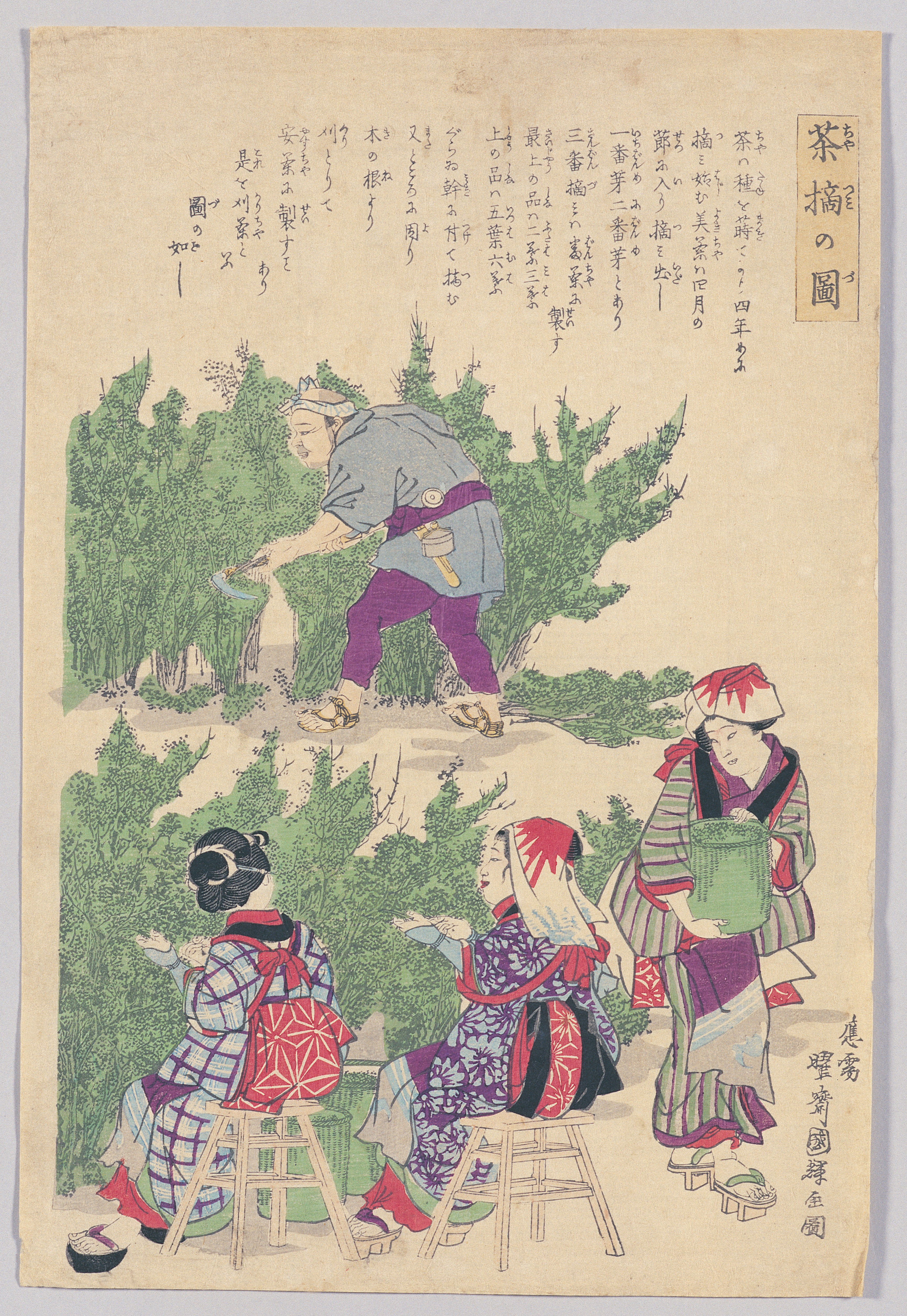 画像：茶摘の図
