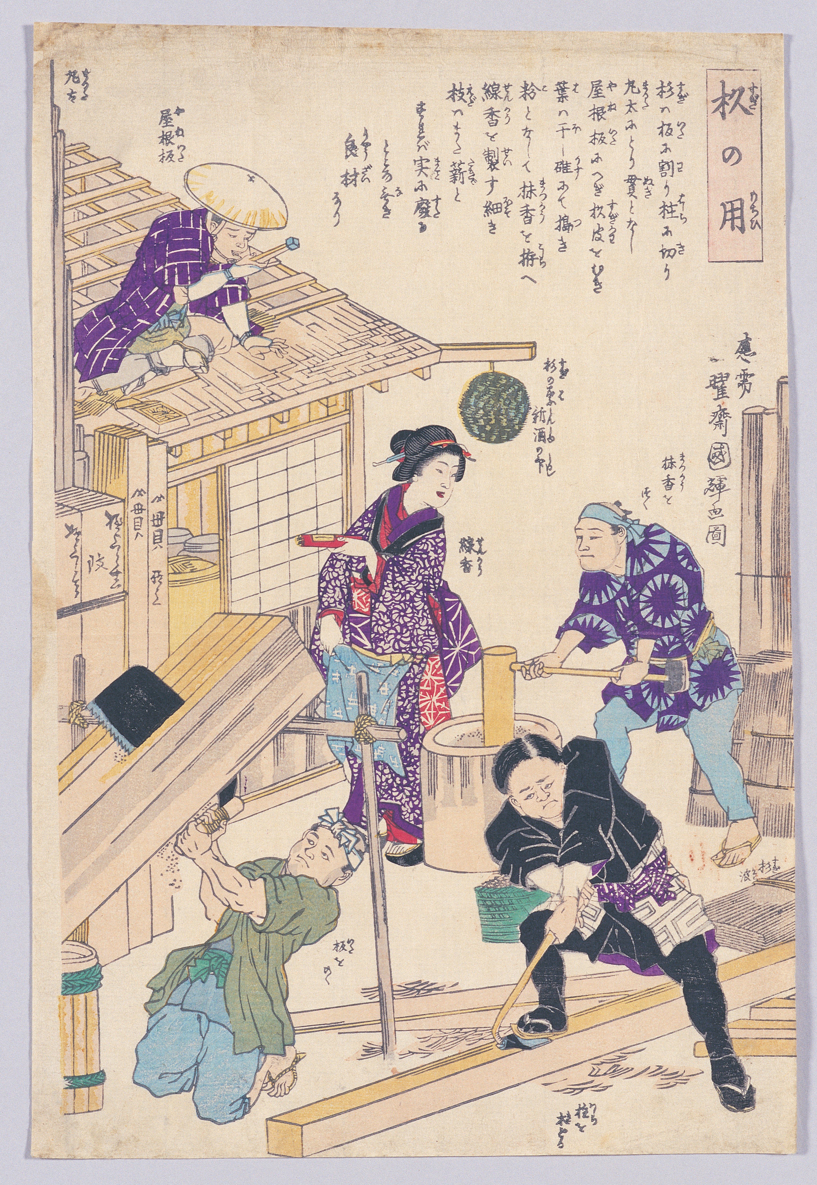 画像：杉の用